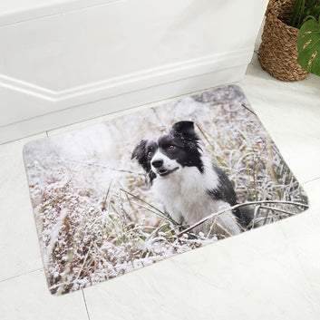 Pet Dog Animal Door Mat Non-Slip Doormat Flannel Carpet Floor Mat