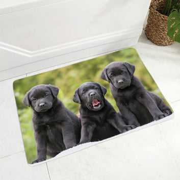 Cute Labrador Floor Door Mat Decor Pet Dog Animal Doormat