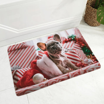 MINI French Bulldog Pet Dog Doormat Decor Cute Animal Floor Door Mat