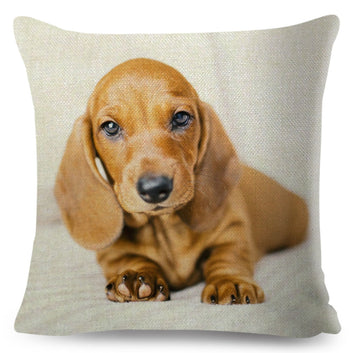 Mini Dachshund Dog Cushion Cover Decor Pet Animal Pillow Case