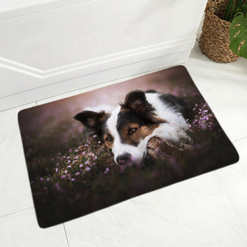 Pet Dog Animal Door Mat Non-Slip Doormat Flannel Carpet Floor Mat