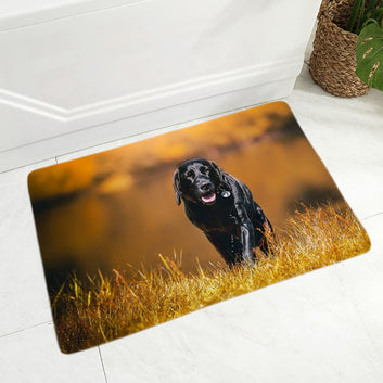 Cute Black Labrador Dog Floor Door Mat Decor Pet Dog Animal Doormat