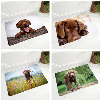 Cute Labrador Door Floor Mat Decor Pet Dog Animal Doormat