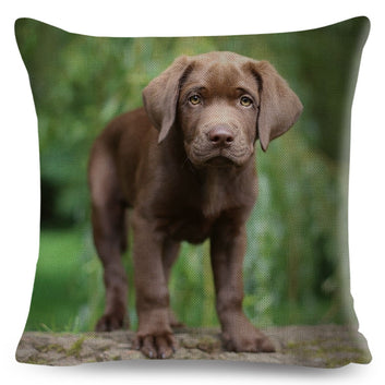 Brown Labrador Pillowcase Decor Cute Dog Pet Animal Printed Cushion Cover